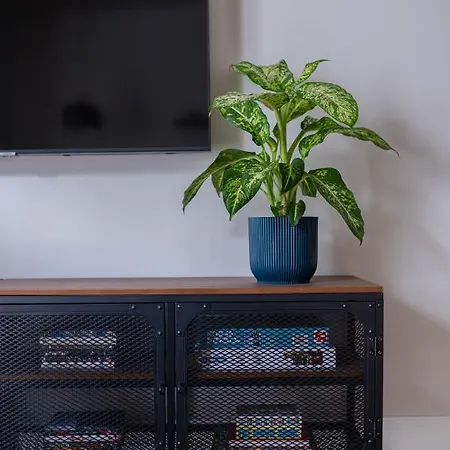 Spacious Brand New Modern In Old Town * Riga