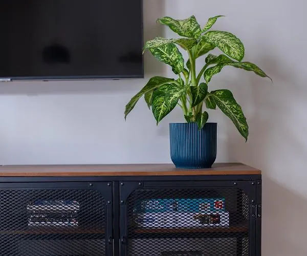 Spacious Brand New Modern In Old Town * Riga