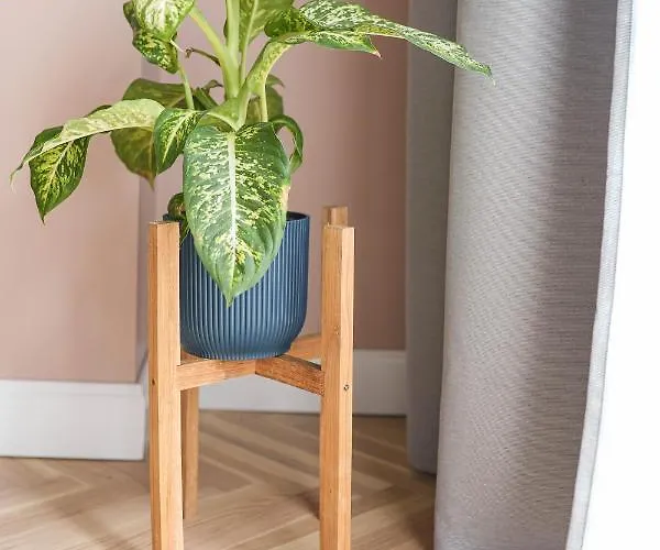 Dzīvoklis Spacious Brand New Modern In Old Town *