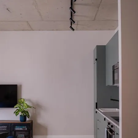 Spacious Brand New Modern In Old Town *